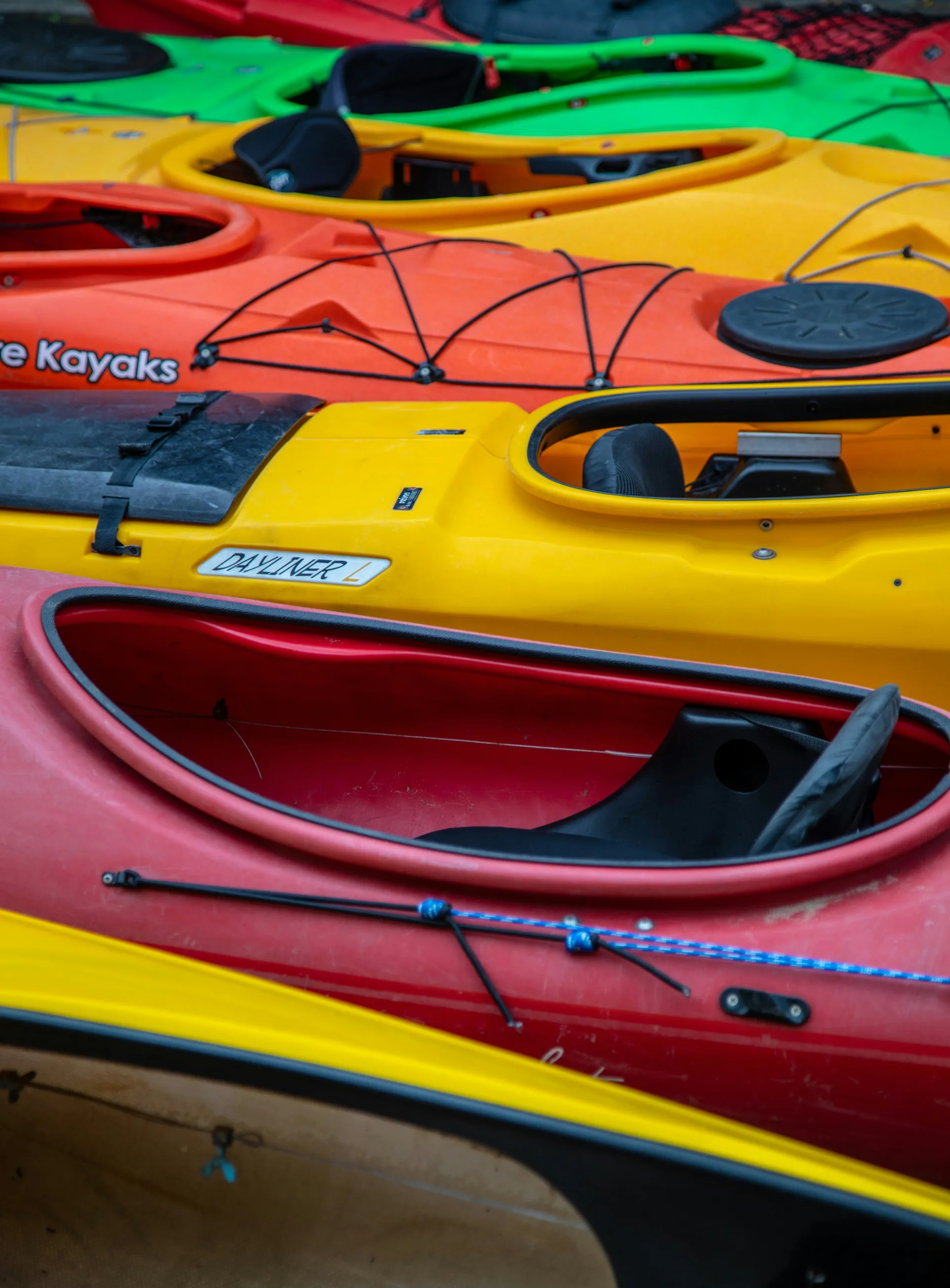 Diverse paddling community on the water